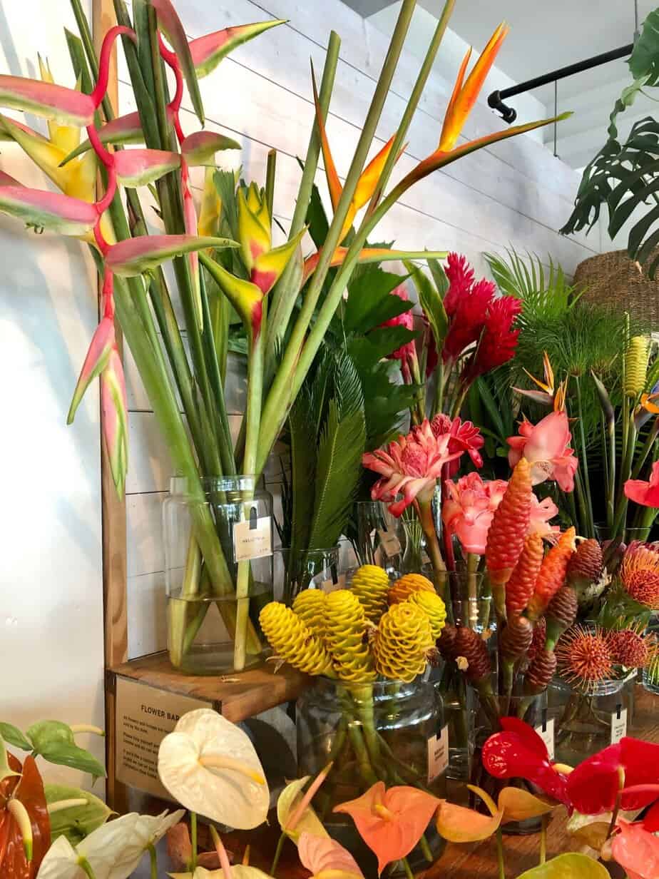 A collection of tropical flowers at a flower shop