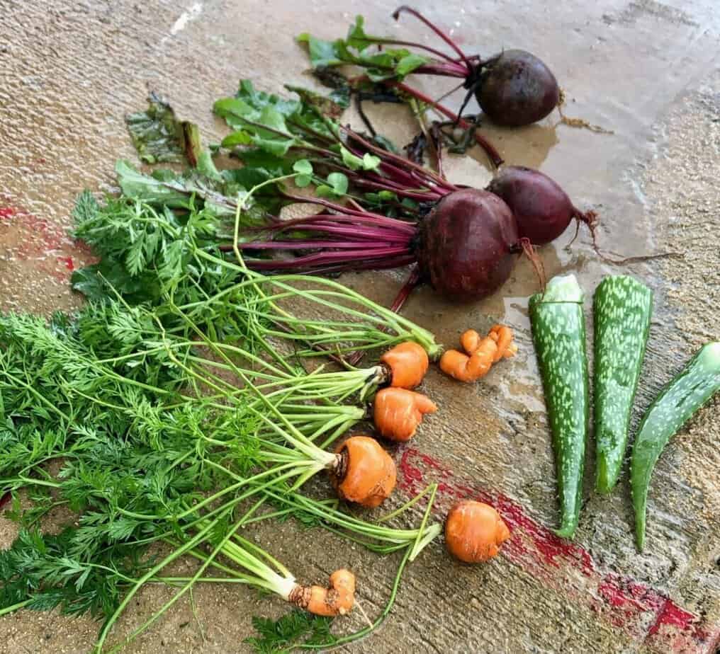 How can consumers show environmental awareness when shopping for food