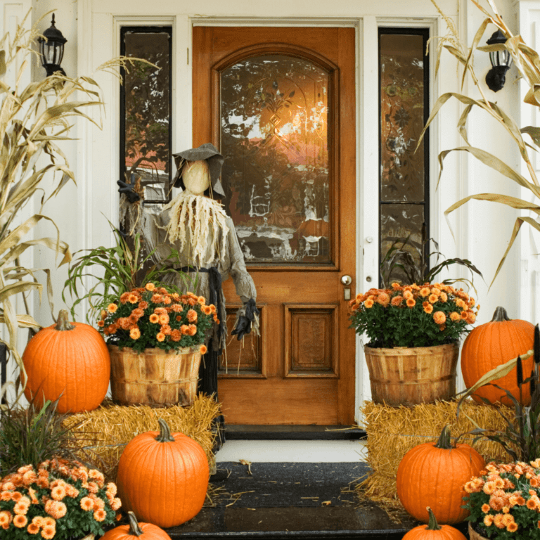 eco friendly decorations as pumpkins, corn, flowers and hay