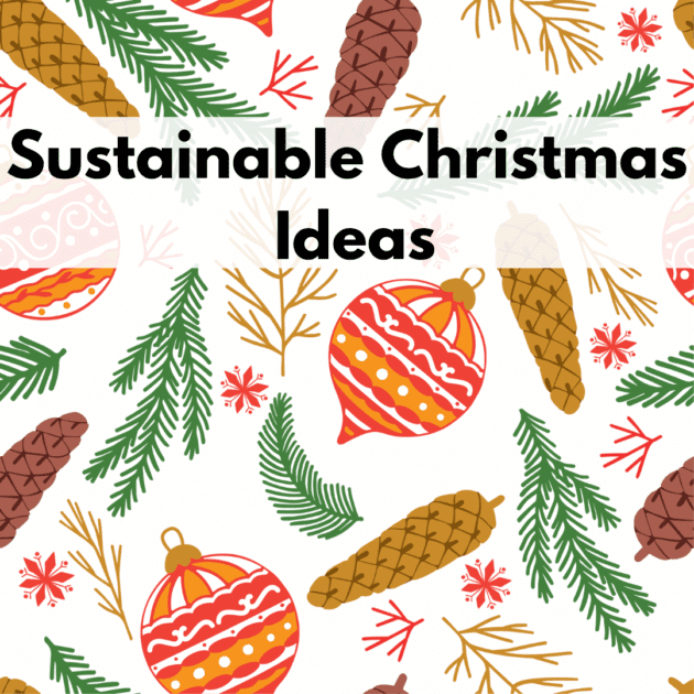 An illustration of christmas ornaments and christmas pines and text that discusses sustainable christmas ideas