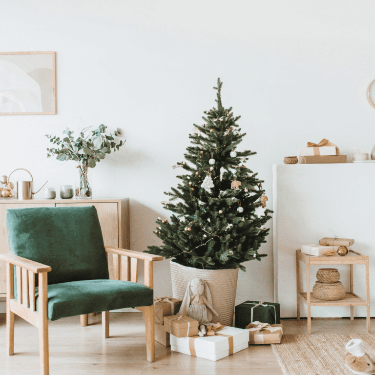 An eco friendly christmas set up with a potted Christmas tree