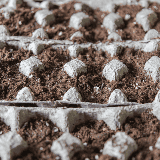 egg cartons and soil for eco friendly living