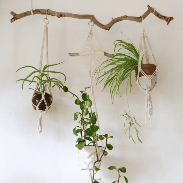three hanging plants in macrame that can be found on etsy as eco friendly dorm decor