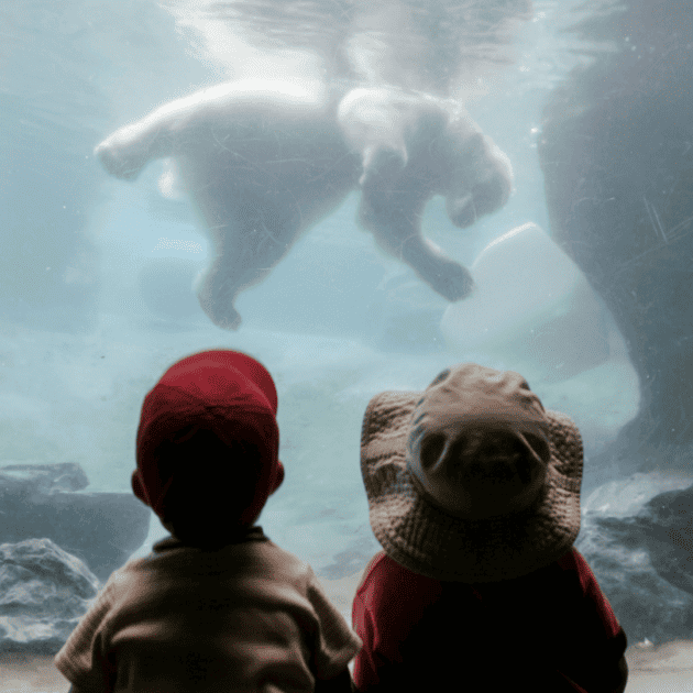 two kids looking at an elephant at a zoo
