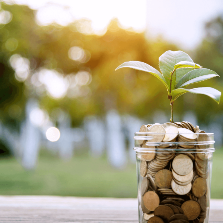 a jar of money and a plant growing out of it to show sustainable living on your debt free journey