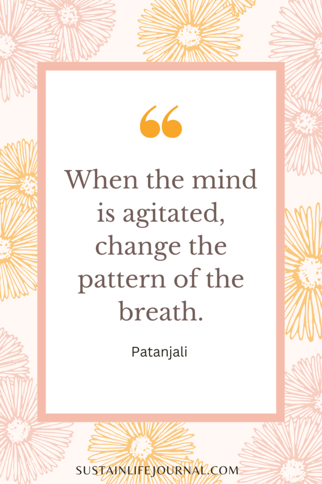 peace quotes short on top of flower background