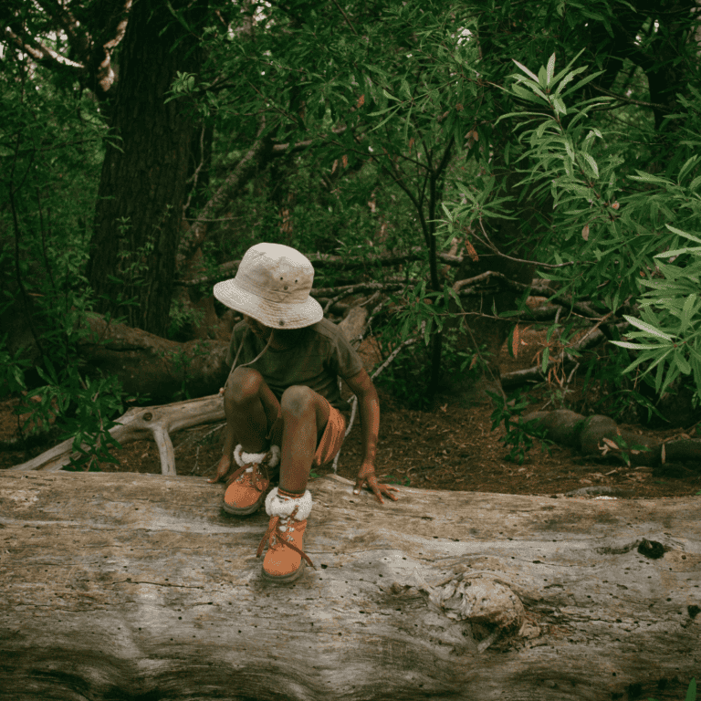 a boy on a homeschool field trip playing in the woods