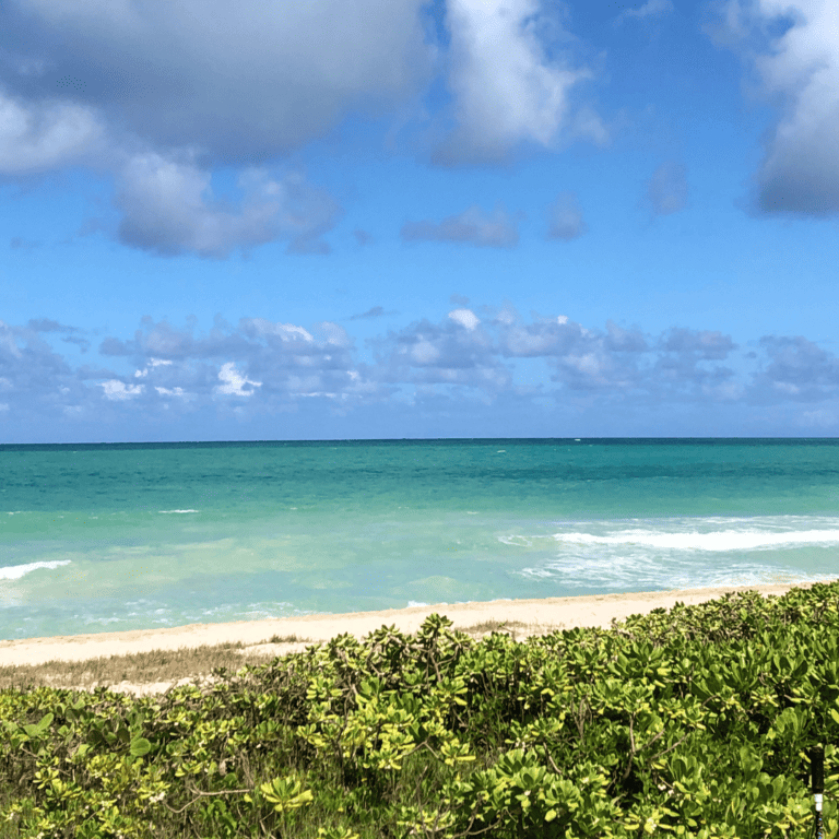 a beach in Hawaii that we can protect by not littering