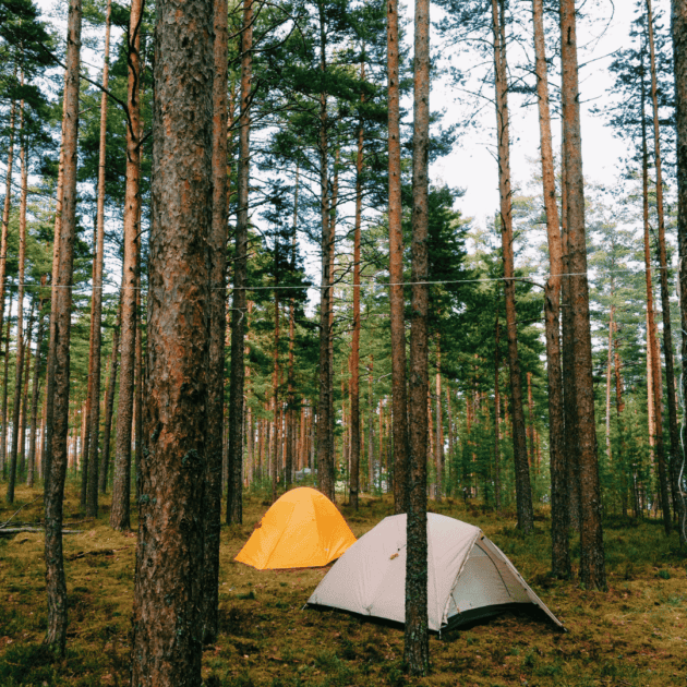 an organized campsite with two tents in the woods