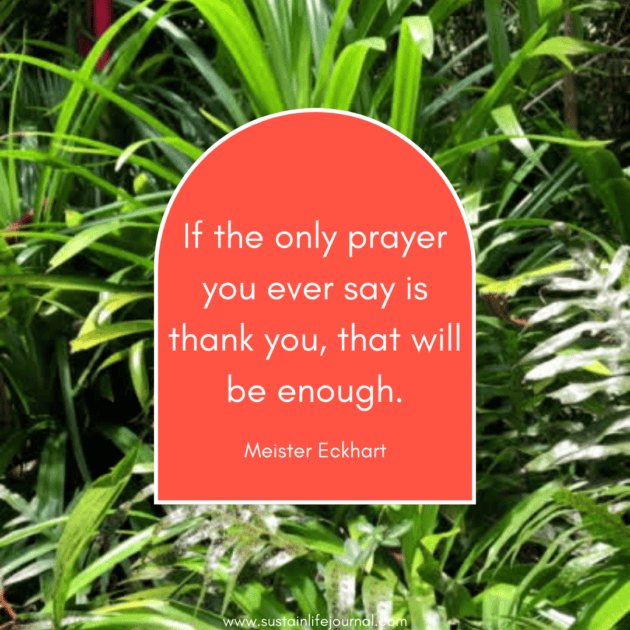 gratitude quote on bright background