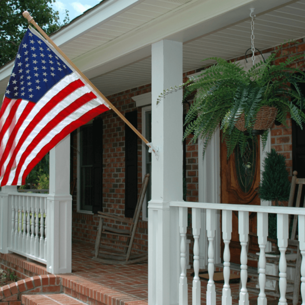 a fern in a hanging basket on a shaded patio