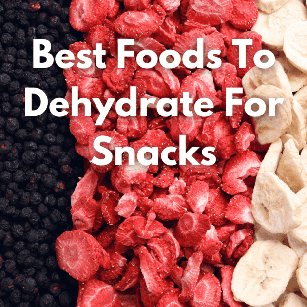 dehydrated bananas, strawberries and blueberries