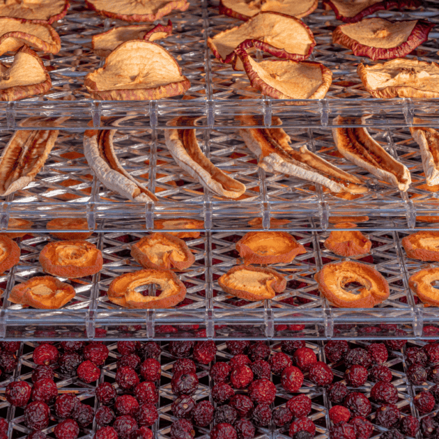 a dehydrator with fresh fruit