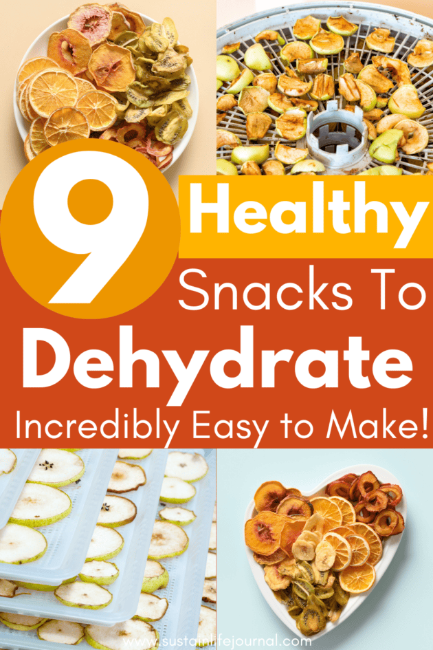 a bowl of dehydrated fruit, dehydrator racks and dehydrated citrus