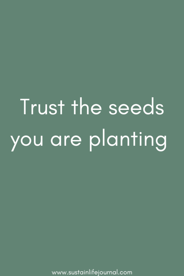 quote about trust