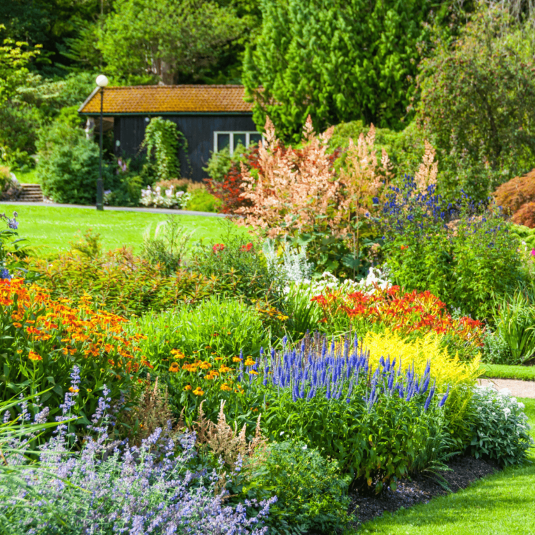 cozy cottage core backyard garden