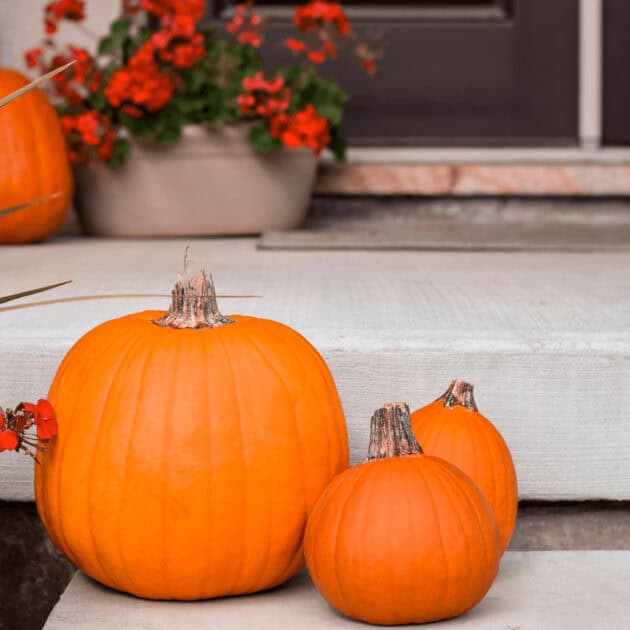 fall pumpkins on front steps of porch