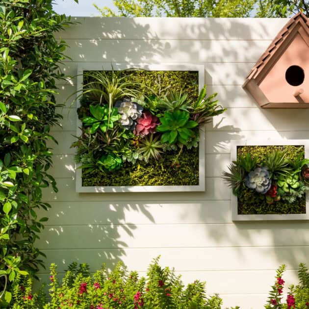 vertical garden plant wall