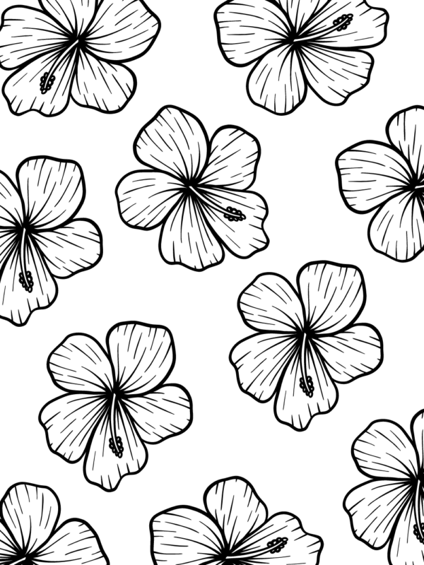 hibiscus pattern