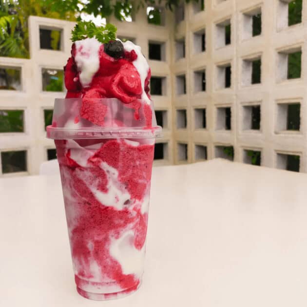 frozen dessert made from fruit puree