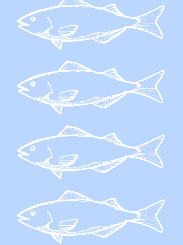 coastal aesthetic light blue simple wall decor