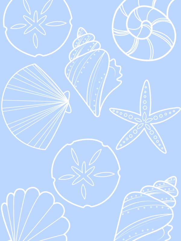 light blue seashell pattern wall decor