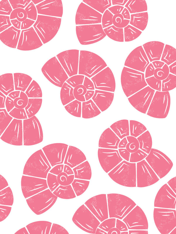 minimalist pink seashell art print
