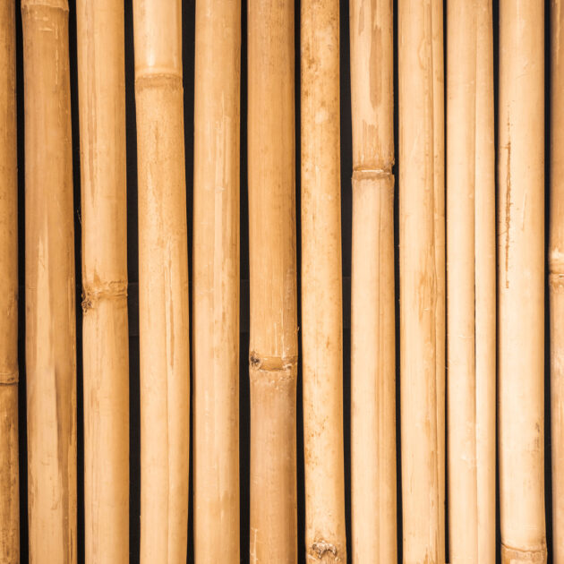 bamboo that will be used to build a fence