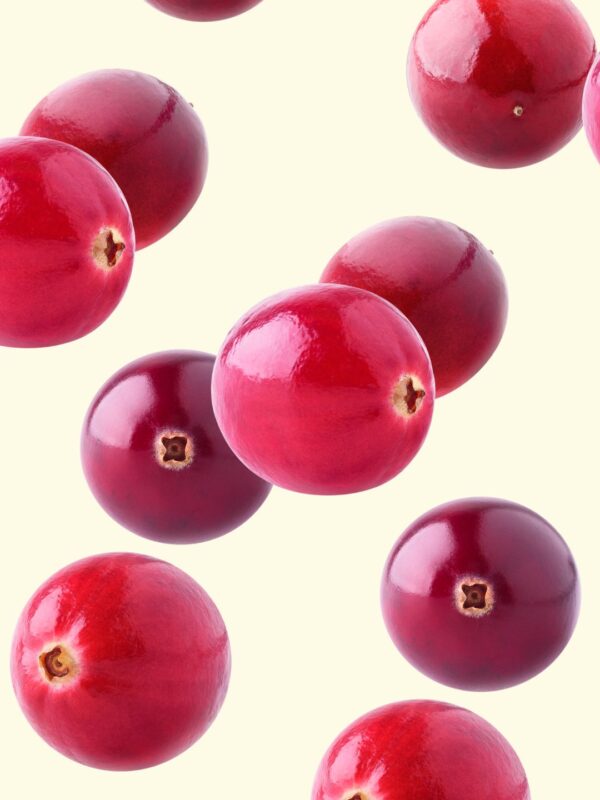 cranberry Thanksgiving wall art print