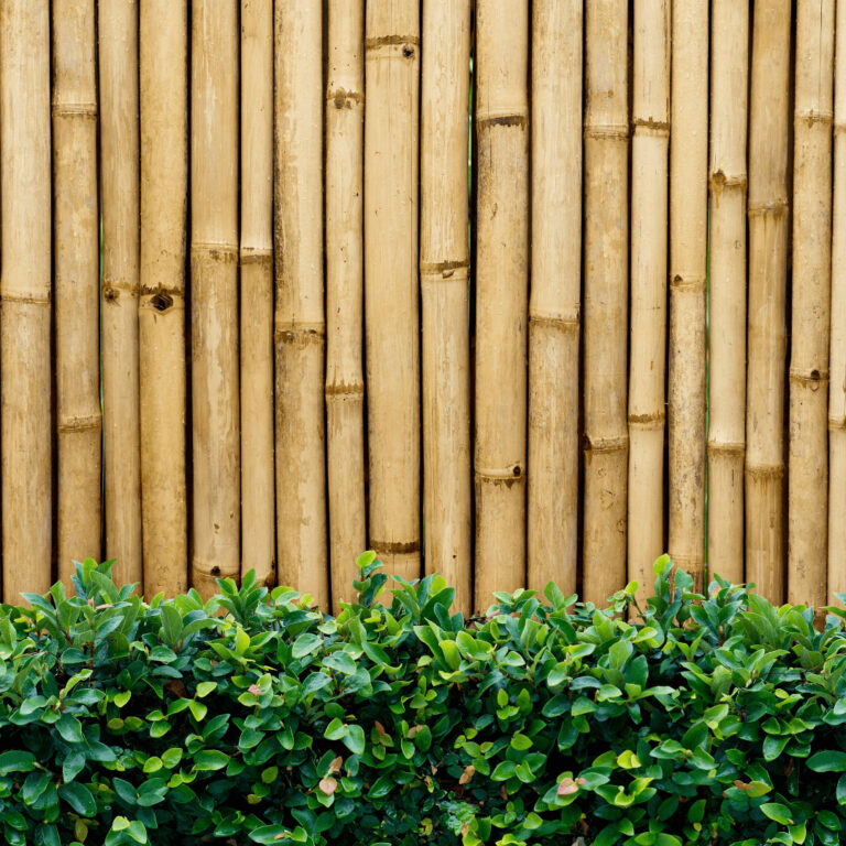 a diy bamboo fence in a backyard