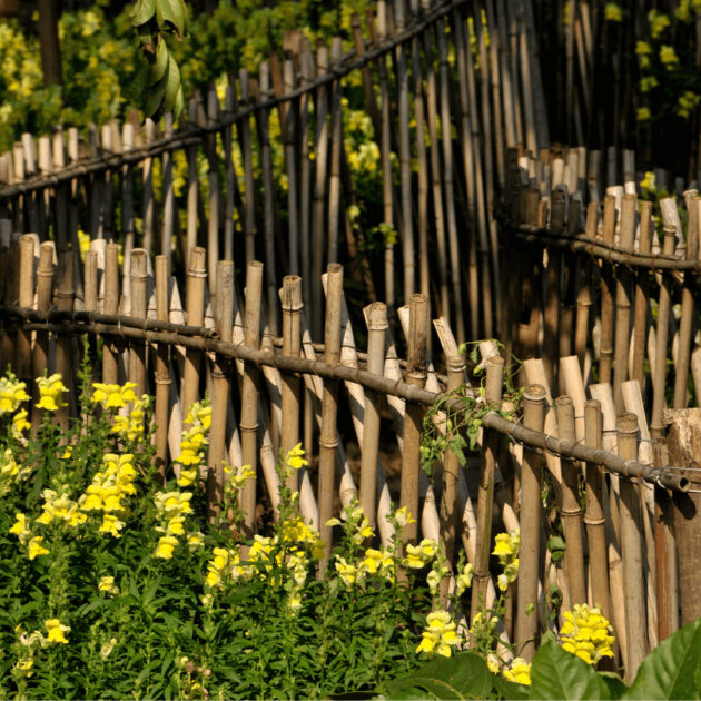 a bamboo fence in a backyard garden