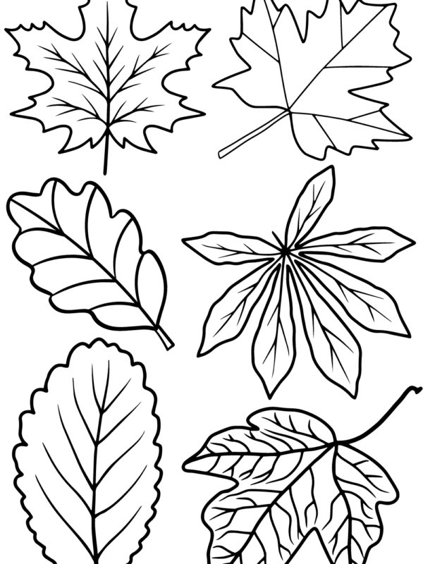 fall leaf pattern coloring page
