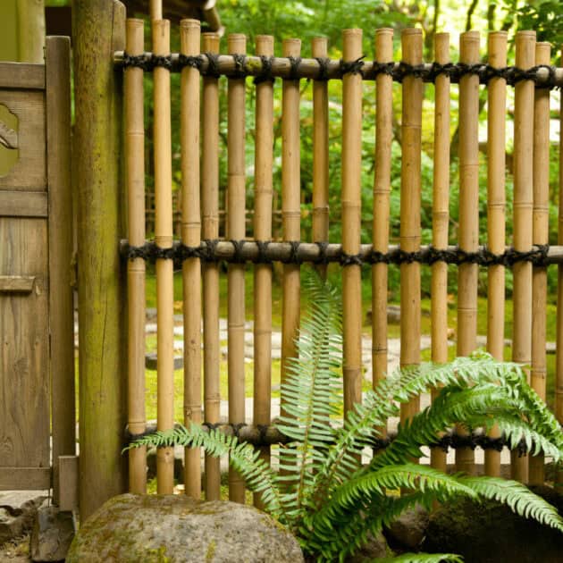 a simple DIY bamboo fence in a backyard