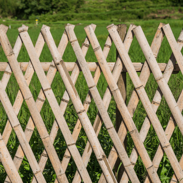 a trellis bamboo fence design for a DIY bamboo fence idea