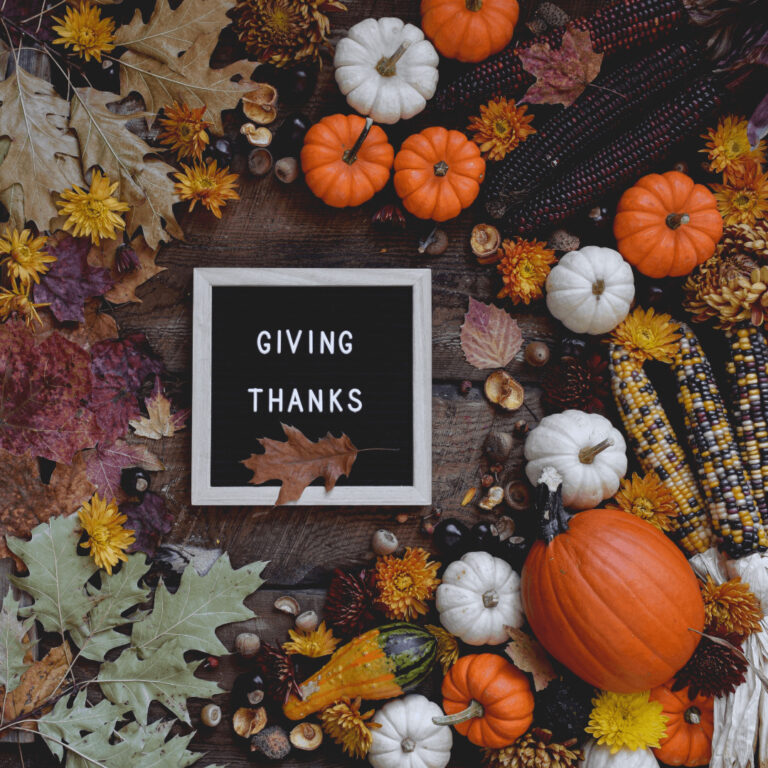 cute autumn letter board