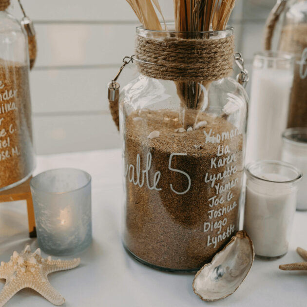 sand, seashells and dried grass