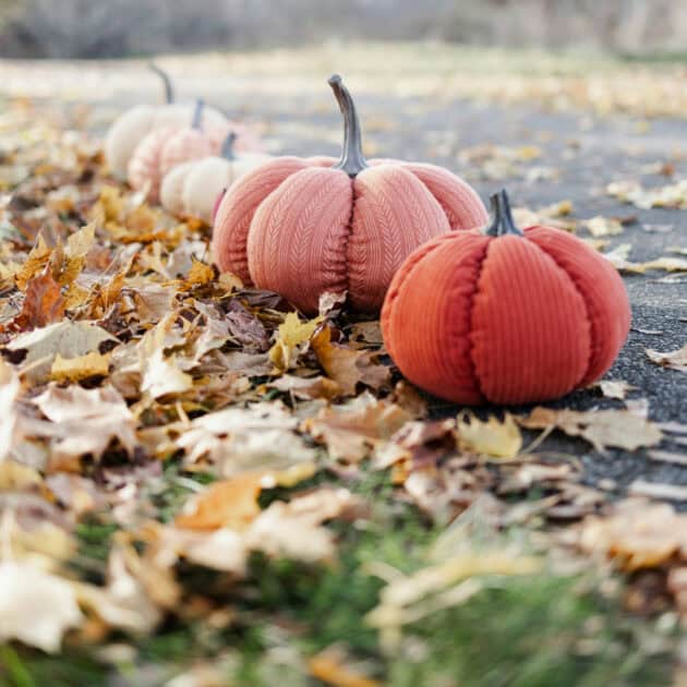 diy felt pumpkins for fall decor