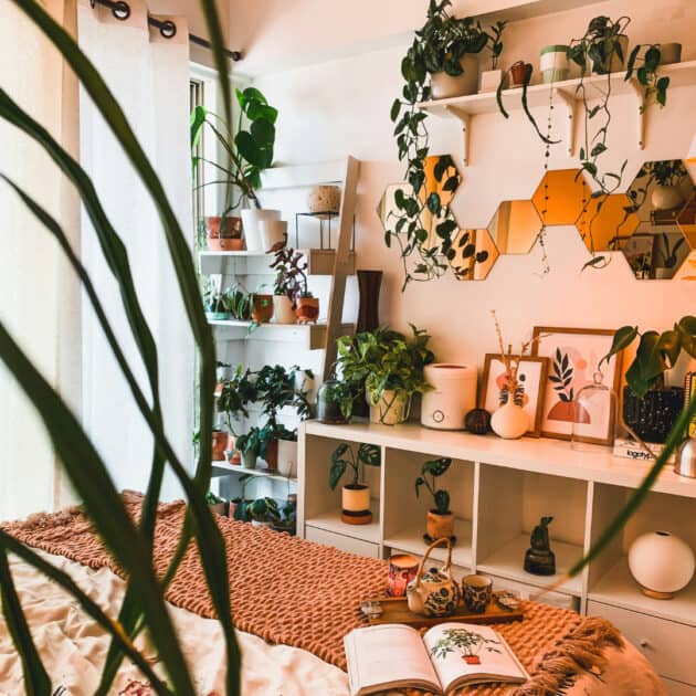 an eclectic small bedroom with houseplants, books and natural decor