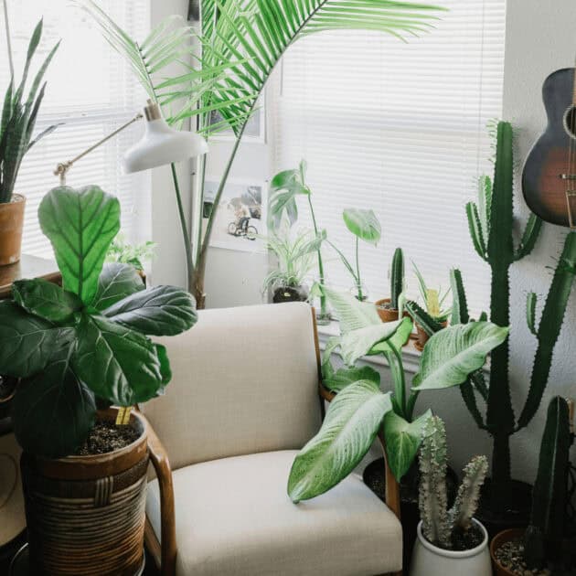a cozy reading nook