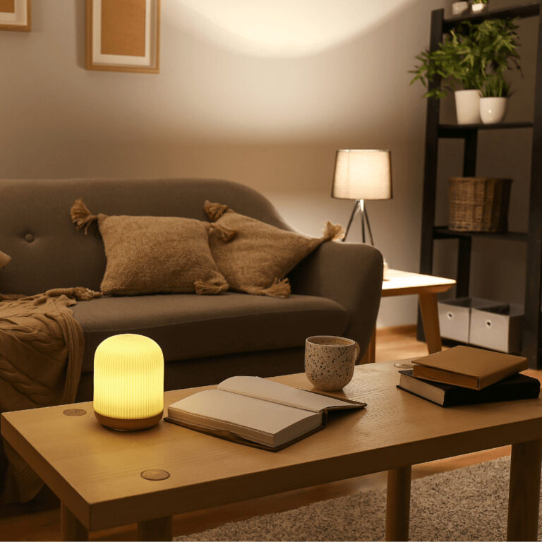 a calm and organized living room