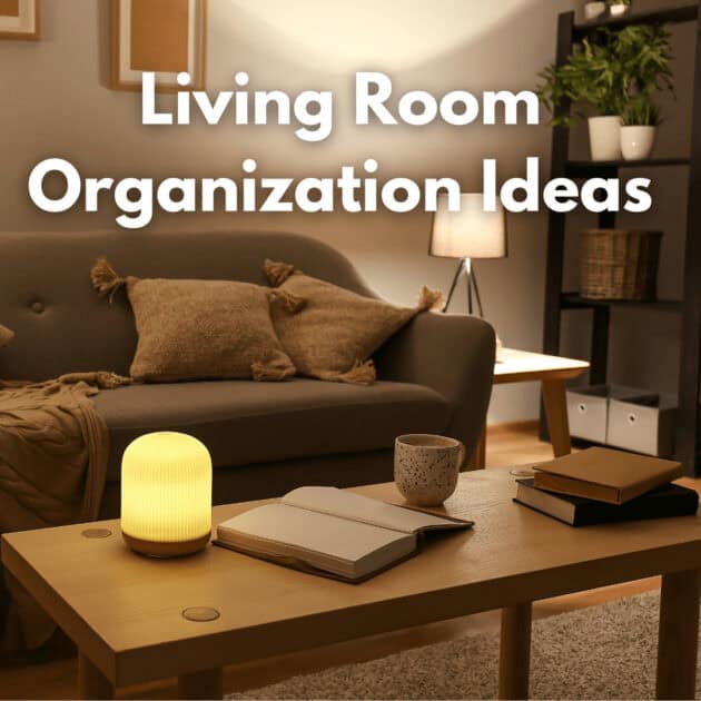 cubby organization for living room