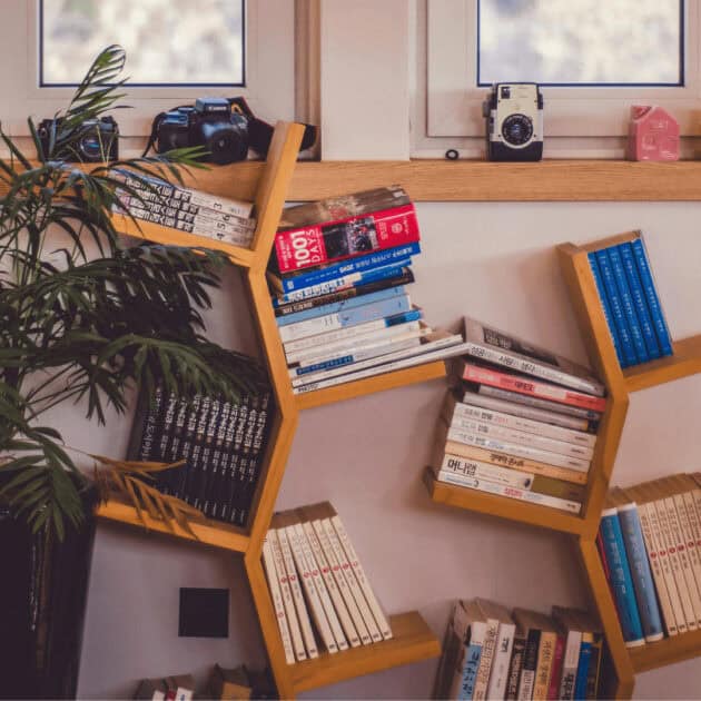unique bookshelf for living room