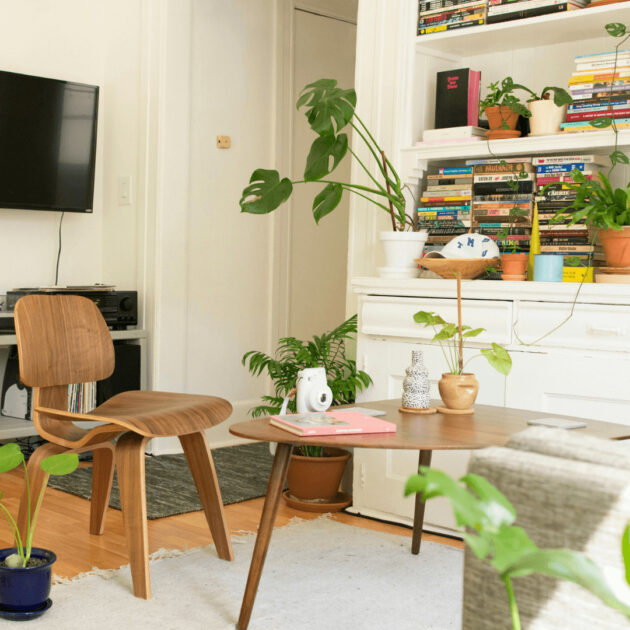 house plants in an apartment