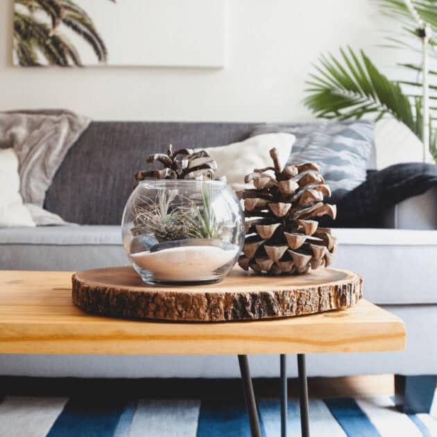 an earthy center piece including a pine cone and terrarium