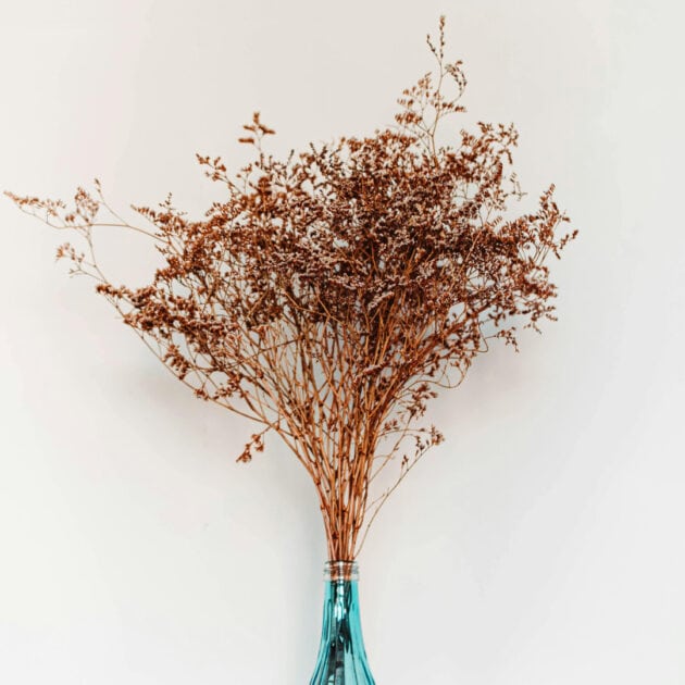 dried leaves for decorations