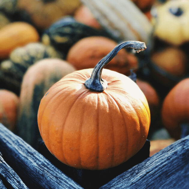 A large pumpkin
