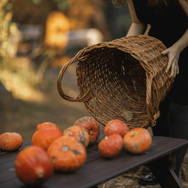 a fun activity with small pumpkins