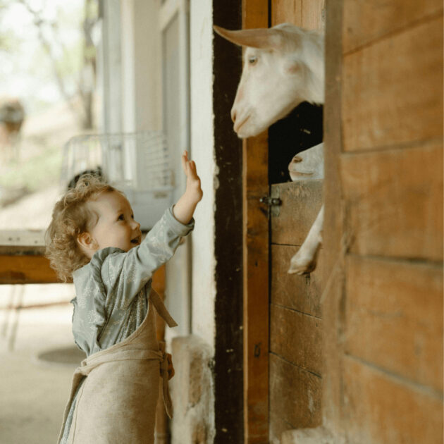kid at a farm