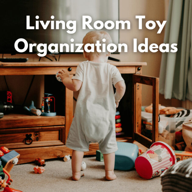 a baby with toys in the living room