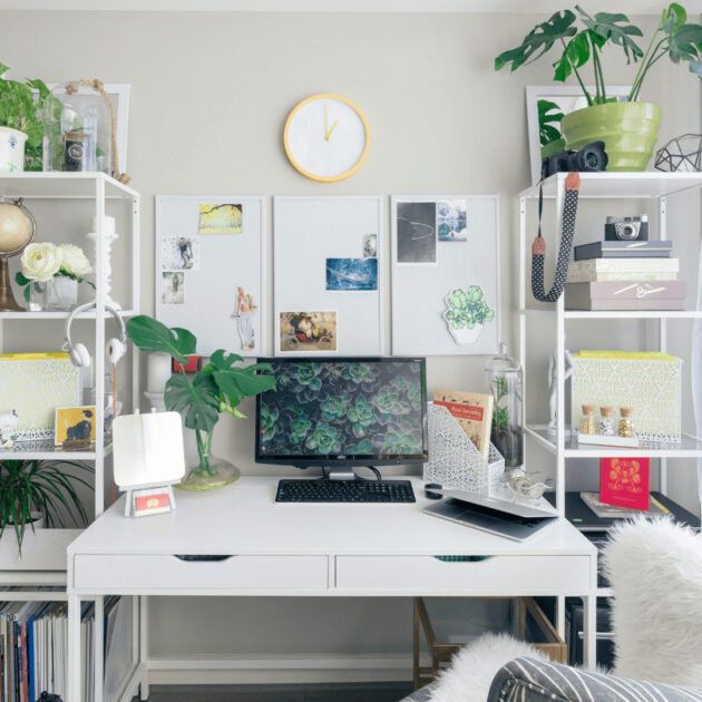 shelves in home office
